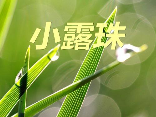 小露珠_PPT优秀课件6