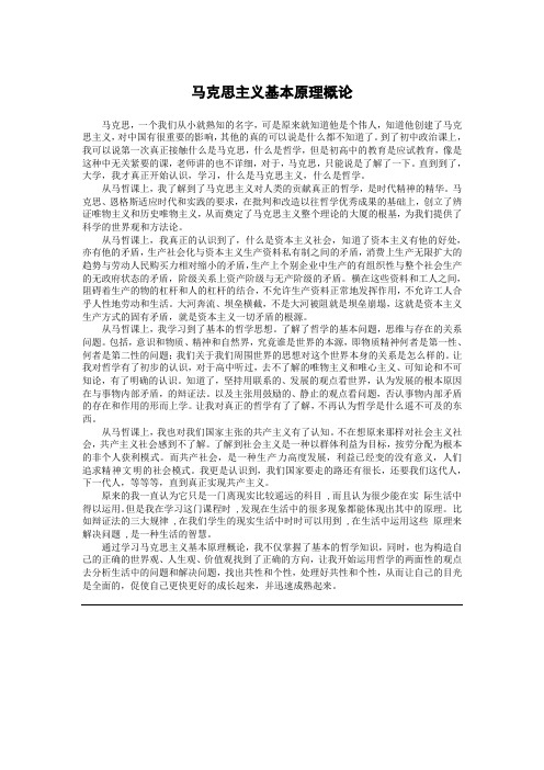 马哲