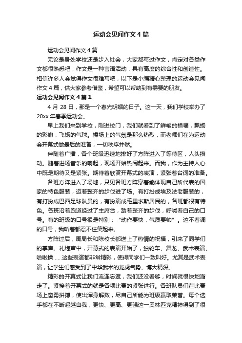 运动会见闻作文4篇
