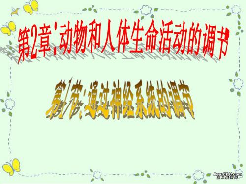 人教版教学教案云南省弥勒县庆来中学2011-2012学年生物必修3 第1节通过神经系统的调节(课件)