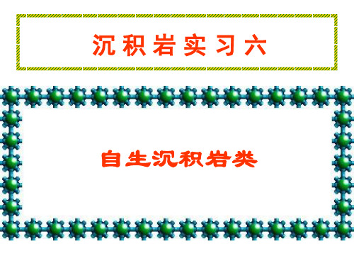 实习6 自生沉积岩类