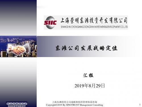 东滩公司发展战略定位-PPT精品