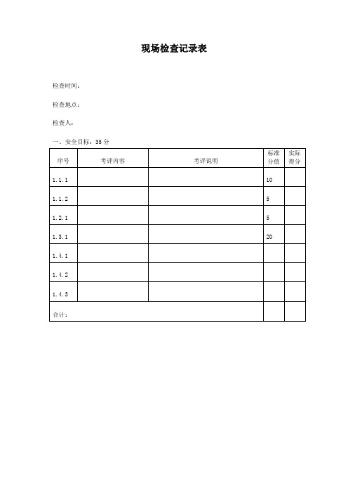 现场检查记录表