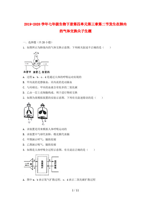 2019-2020学年七年级生物下册第四单元第三章第二节发生在肺内的气体交换尖子生题