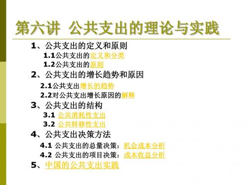 公共经济学第六讲：公共支出理论与实践