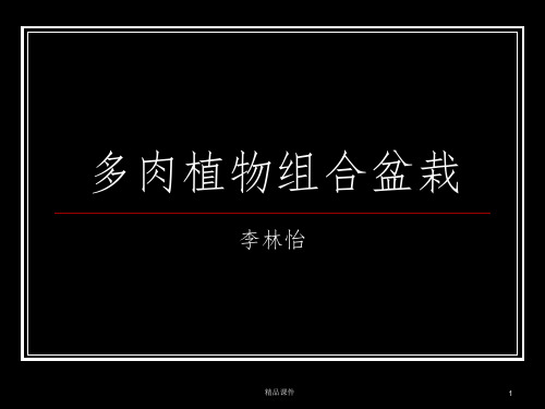 多肉植物组合盆栽ppt课件