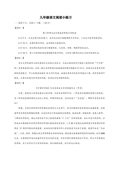 人教版语文中考语文专题训练：九年级语文阅读练习含答案