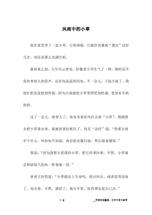 风雨中的小草_初中作文