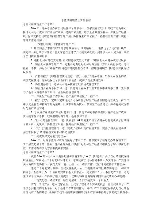 总监试用期转正工作总结