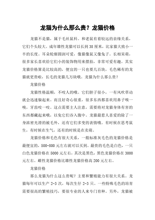 龙猫为什么那么贵？龙猫价格