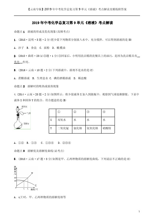 【云南专版】2019年中考化学总复习第9单元《溶液》考点解读及精练附答案