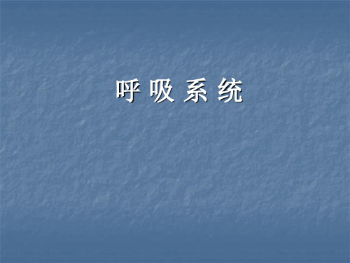 呼吸系统PPT课件_4
