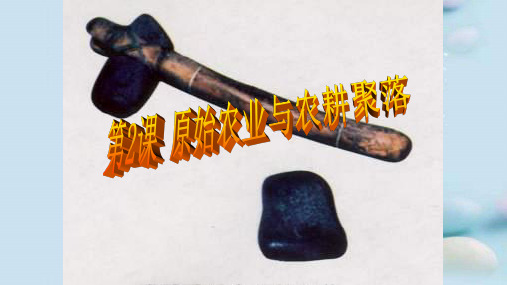 原始农业与农耕聚落ppt 北师大版