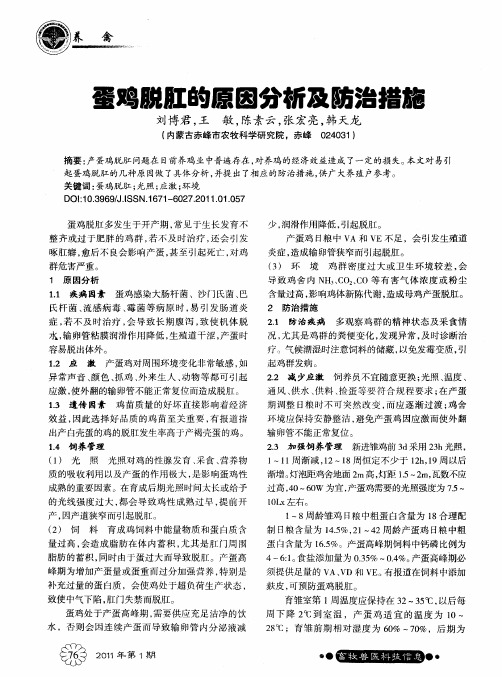 蛋鸡脱肛的原因分析及防治措施