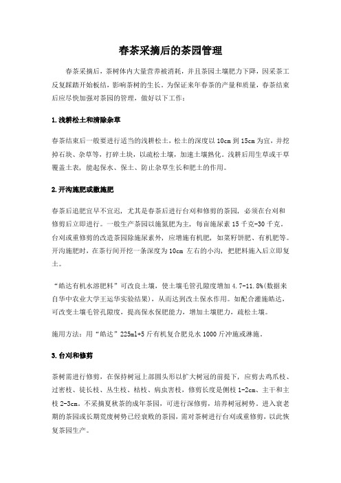 春茶采摘后的茶园管理