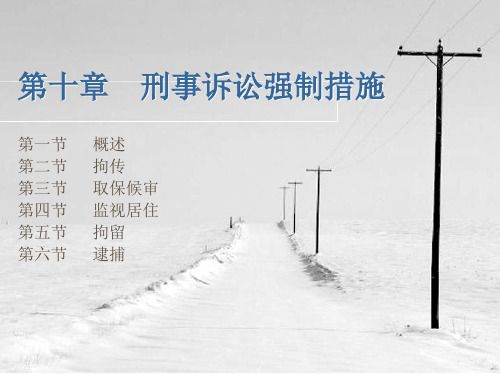 第八章  刑事诉讼强制措施