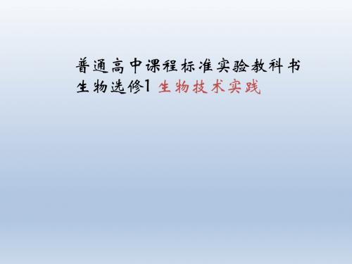 《菊花的组织培养》课件4(新人教版选修1)