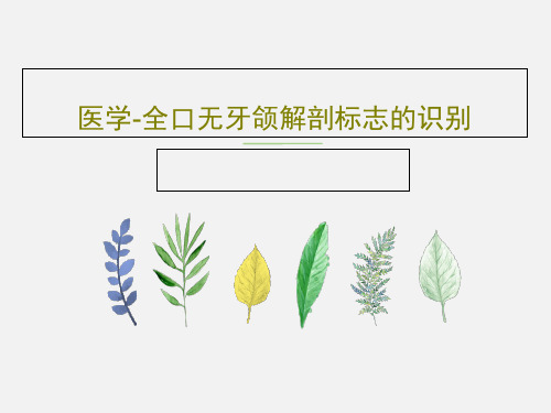 医学-全口无牙颌解剖标志的识别PPT文档共47页