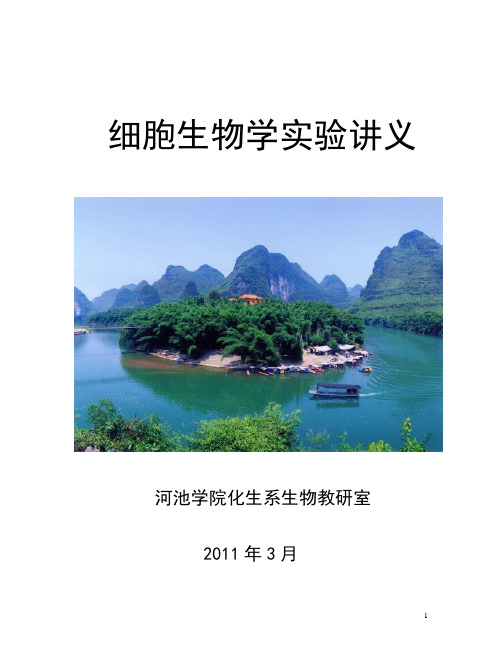 细胞生物学实验