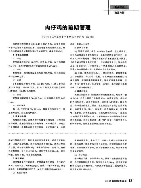 肉仔鸡的前期管理