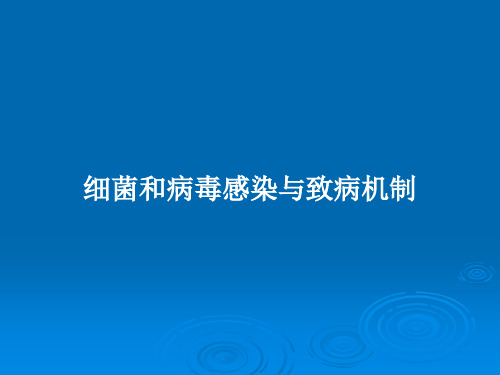 细菌和病毒感染与致病机制PPT教案