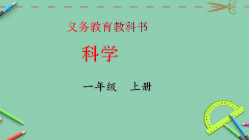 新版教科版一年级第一学期科学观察叶课件