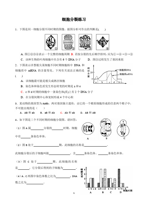 细胞分裂练习