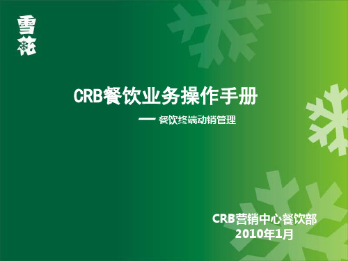 策划案例―华润雪花啤酒餐饮终端动销手册精品PPT课件