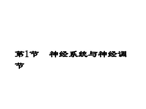 第12章第1节神经系统与神经调节精品PPT课件