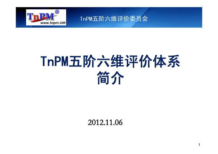 TnPM五阶六维评价体系