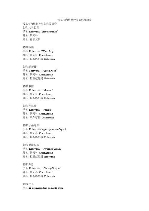 常见多肉植物种类名称及简介