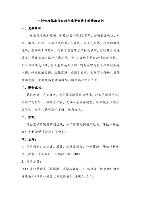白羽肉鸡肾型传支治疗方法