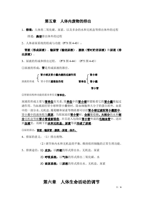 中考生物必背知识点专题训练题及答案解析(珍藏经典版)：05 人体内废物的排出
