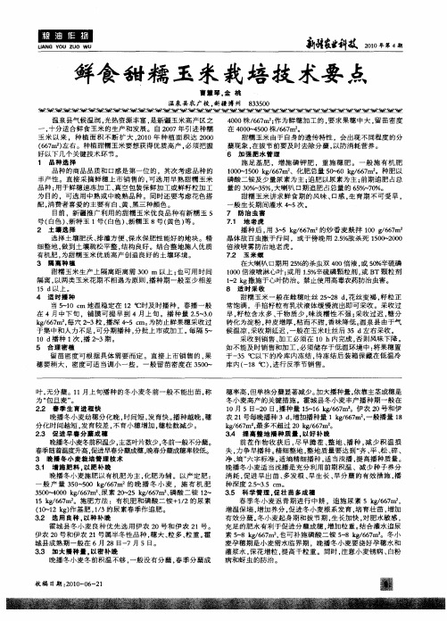 鲜食甜糯玉米栽培技术要点