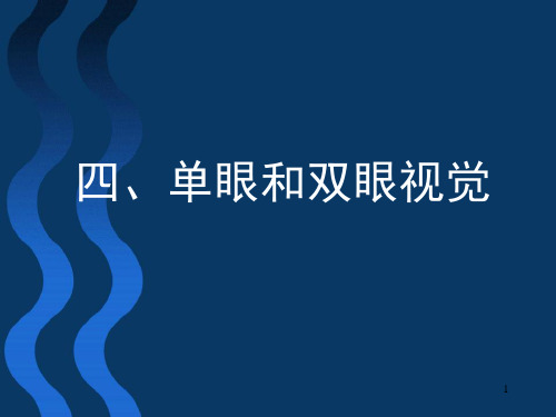 单眼和双眼视觉ppt课件