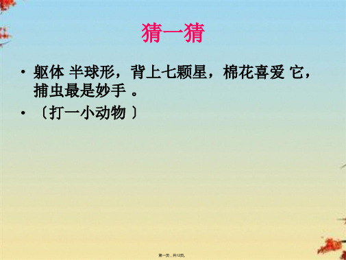小学科学三上《2.1、寻访小动物》课件(13)ppt(共12张PPT)