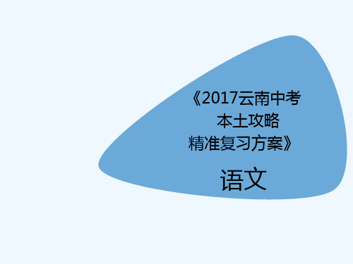 2020云南省中考语文《语文综合应用》ppt精准复习课件