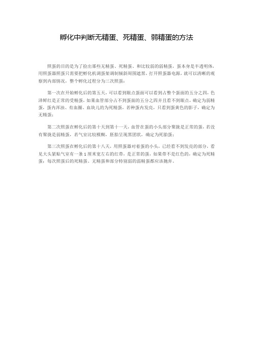 1孵化中判断无精蛋、死精蛋、弱精蛋的方法