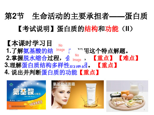 人教版生物必修一2.2 生命活动的承担者-蛋白质 教学课件(共22张PPT)