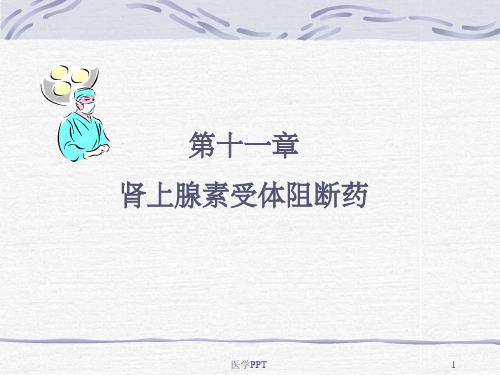 《抗肾上腺素药》PPT课件