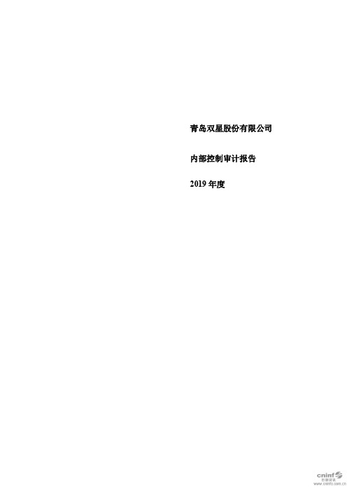 青岛双星：内部控制审计报告(2019年度)