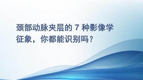 颈部动脉夹层ppt课件