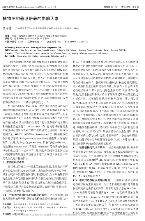 植物细胞悬浮培养的影响因素