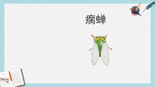 五年级语文下册第12课瘸蝉课件冀教版