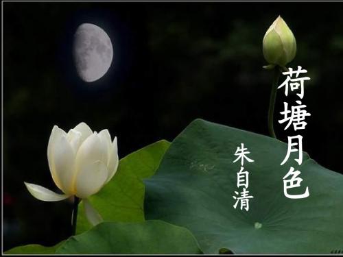 高一语文荷塘月色2