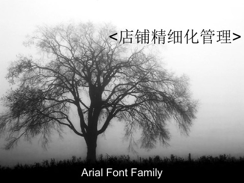 店铺精细化管理ppt课件