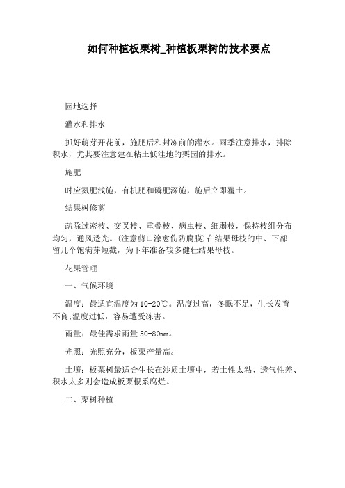 种植板栗树的技术要点