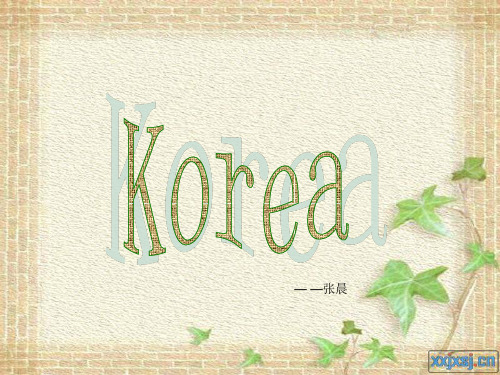 韩国介绍PPT_英文