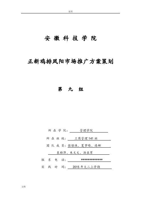 第九组正新鸡排凤阳市场推广方案设计