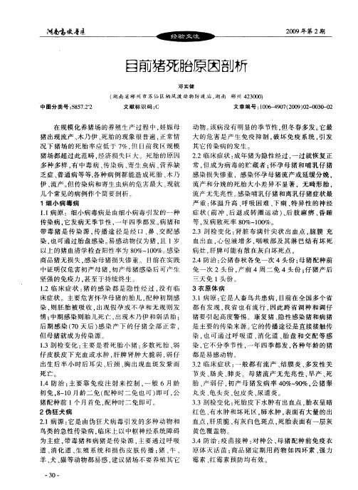目前猪死胎原因剖析